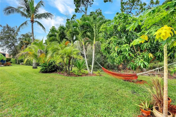 Private backyard
