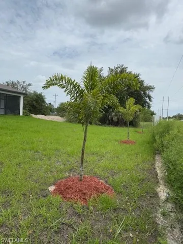 View of green lawn and palm trees.
