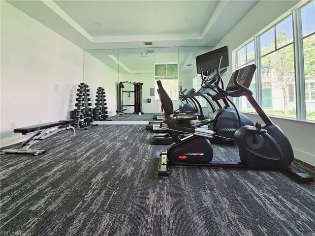 Exercise room with a raised ceiling, plenty of natural light, baseboards, and carpet flooring