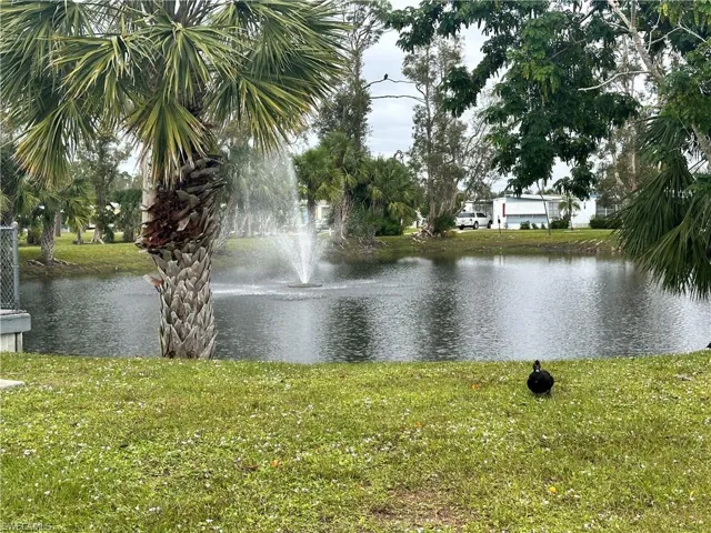 Water view