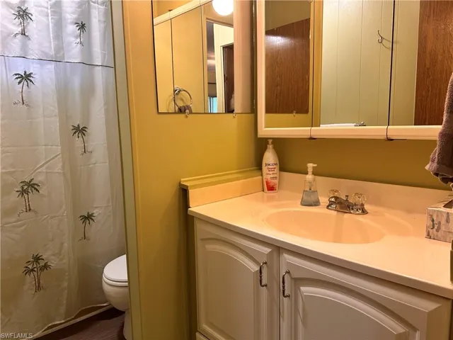 Bathroom featuring toilet, vanity, and a shower with curtain