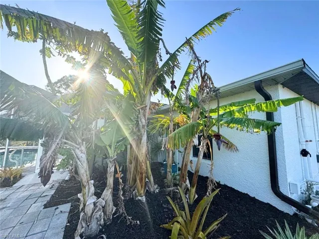 Property features banana, papaya, pineapple, dragon fruit, and key lime tree