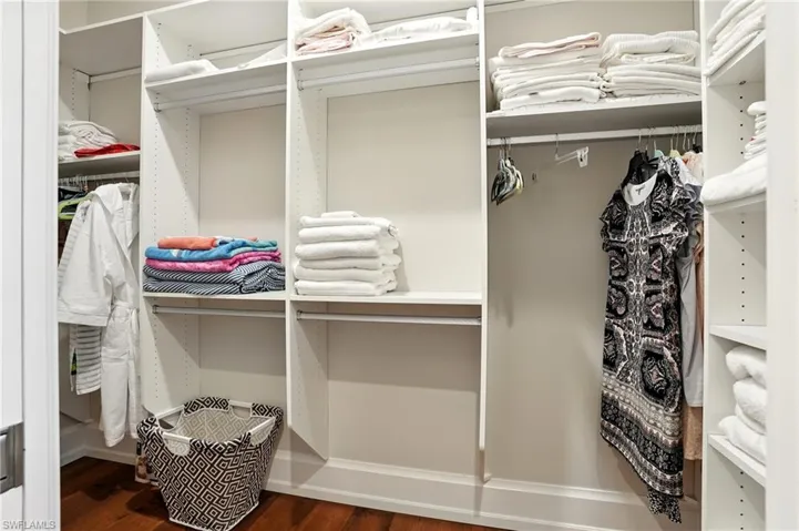 Spacious closet with dark wood-type flooring