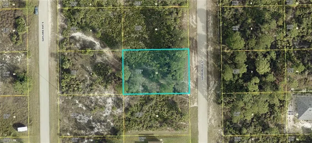 738  Chapman S AVE, Lehigh Acres, FL 33974