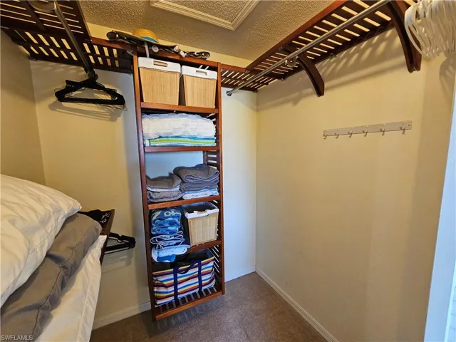 Spacious closet with carpet