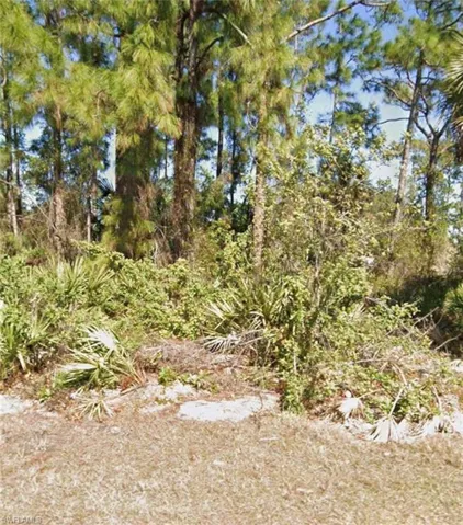 306 W 9th St, Lehigh Acres, Florida 33972