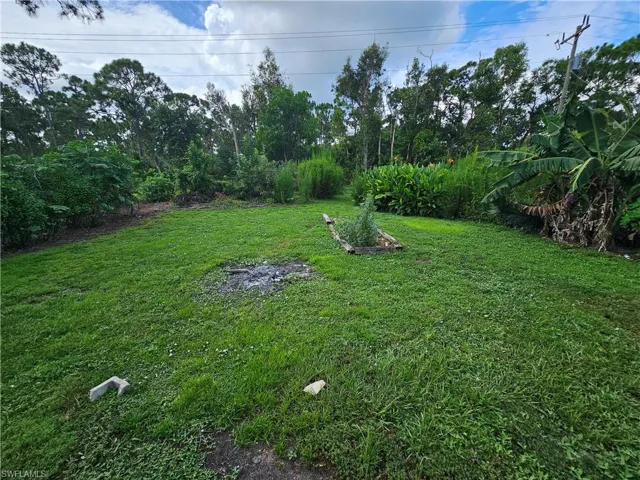 View of grassy yard