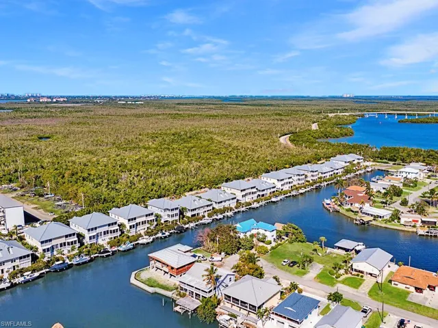 Aerial perspective of suburban area with a nearby body of water and a forest