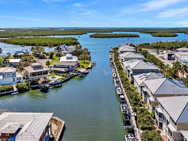 Aerial view of residential area featuring a large body of water