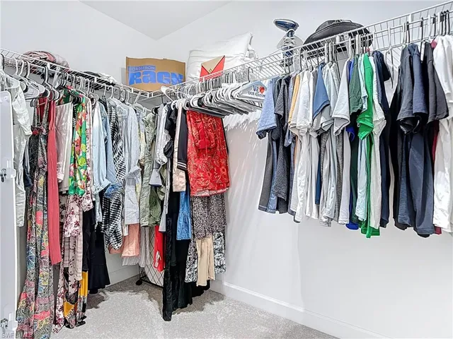Spacious closet with carpet floors