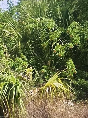 3774 2nd Ave Ne, Naples, Florida 34120