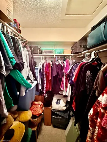 Spacious closet featuring attic access and carpet floors