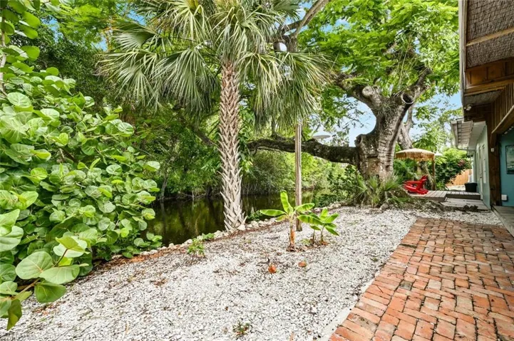 East side, view of huge Poinciana tree