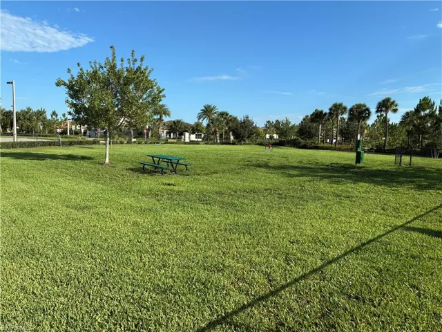 Dog Park