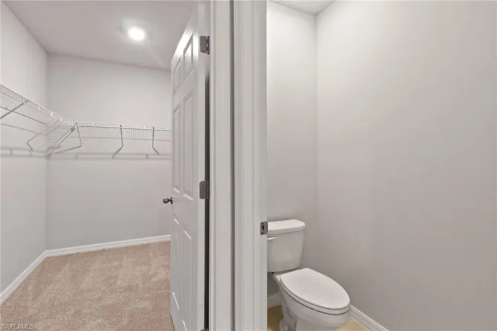 Bathroom with a spacious closet and light carpet