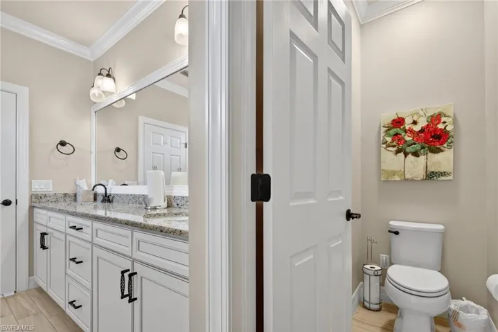 Bathroom featuring crown molding, light wood-style flooring, and vanity