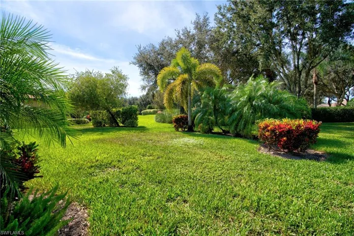 View of grassy yard