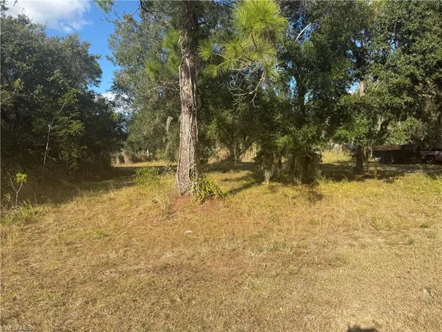 View of undeveloped land