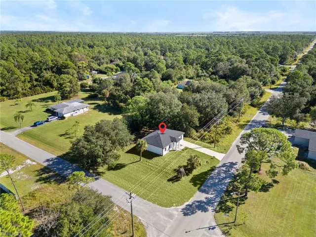 Drone / aerial view of a forest