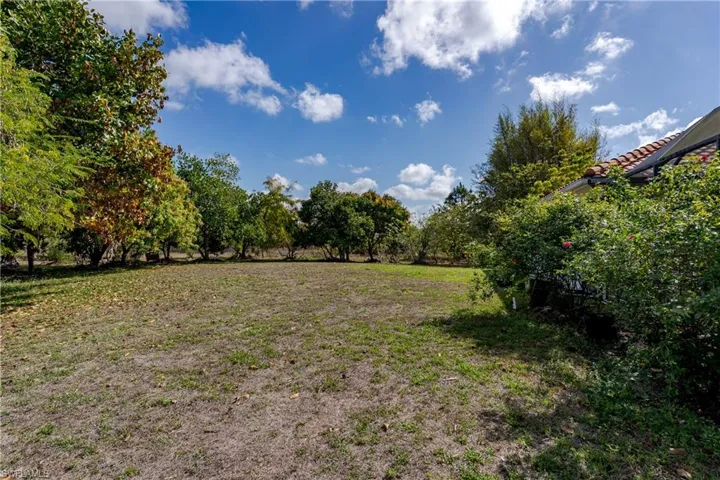 View of grassy yard