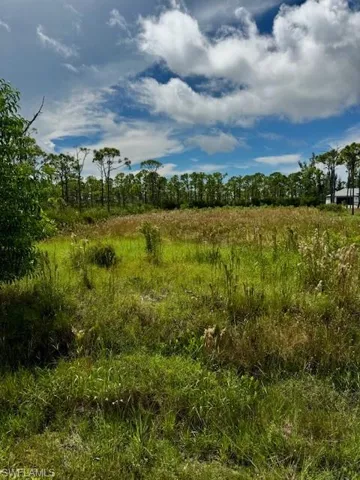 View of nature