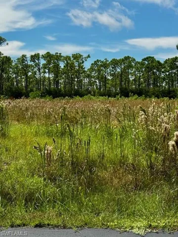 View of nature