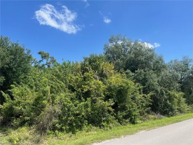 20th Ave Ne, Naples, Florida 34120