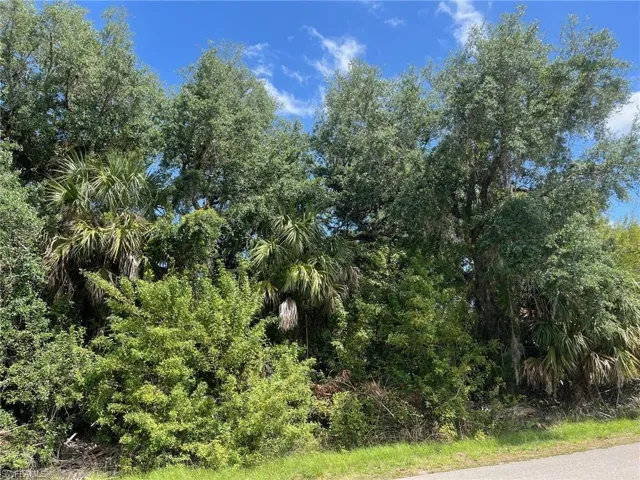 20th Ave Ne, Naples, Florida 34120