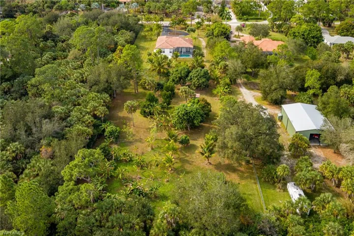 Drone / aerial view of a tree filled landscape