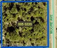 1221 Moore Ave, Lehigh Acres, Florida 33972