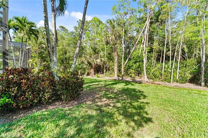 Wooded preserve privacy Backyard