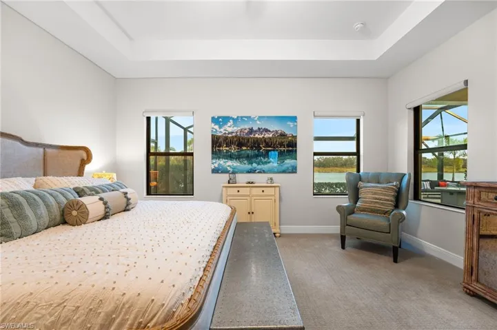 Carpeted bedroom with a tray ceiling