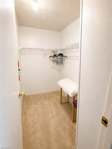 Walk-in closet featuring wire shelving, wall-to-wall carpeting, and overhead lighting