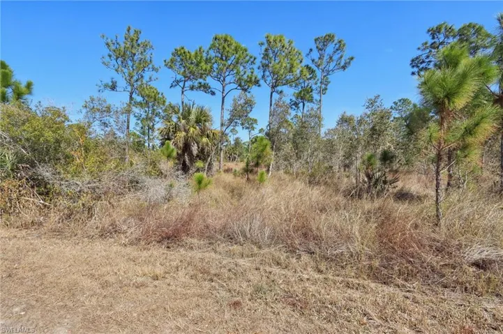 View of undeveloped land