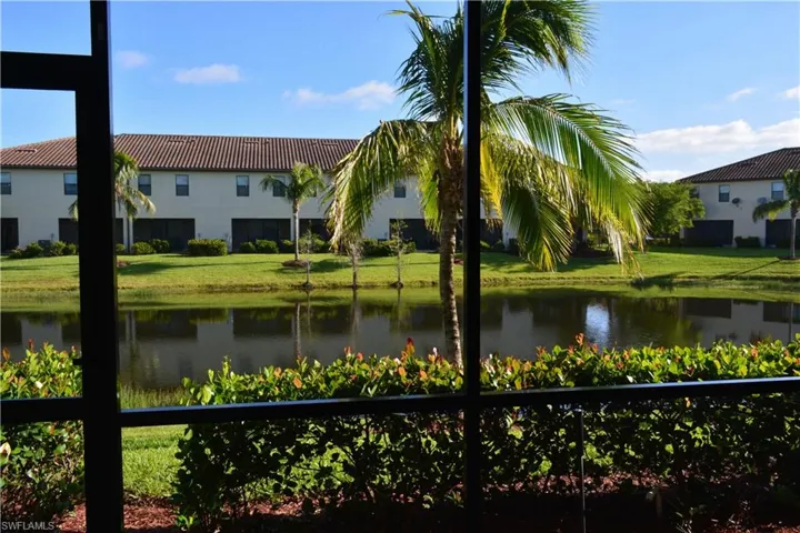 View from Patio