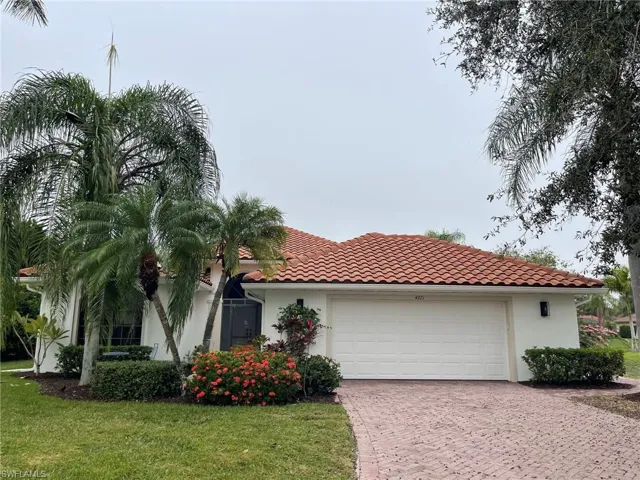 Beautiful palm tree, roof 2019