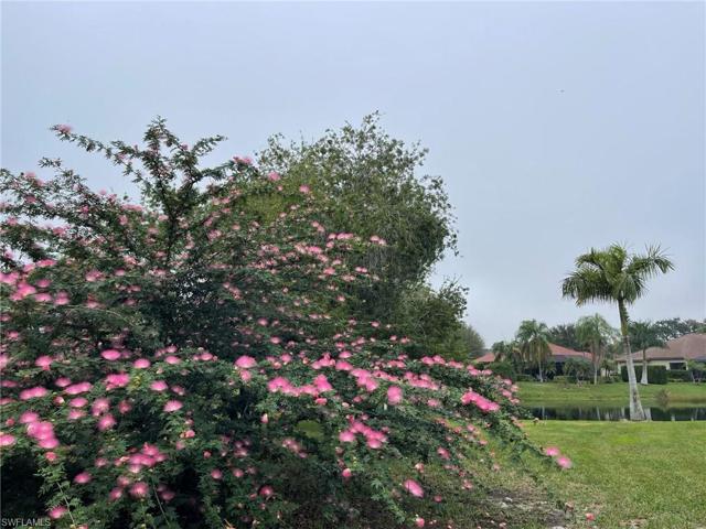 Gorgeous blooming tree on side of house
