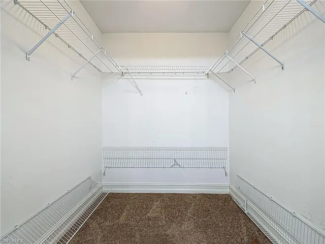 Walk in closet featuring carpet