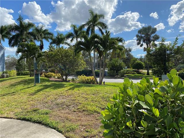 Front Yard