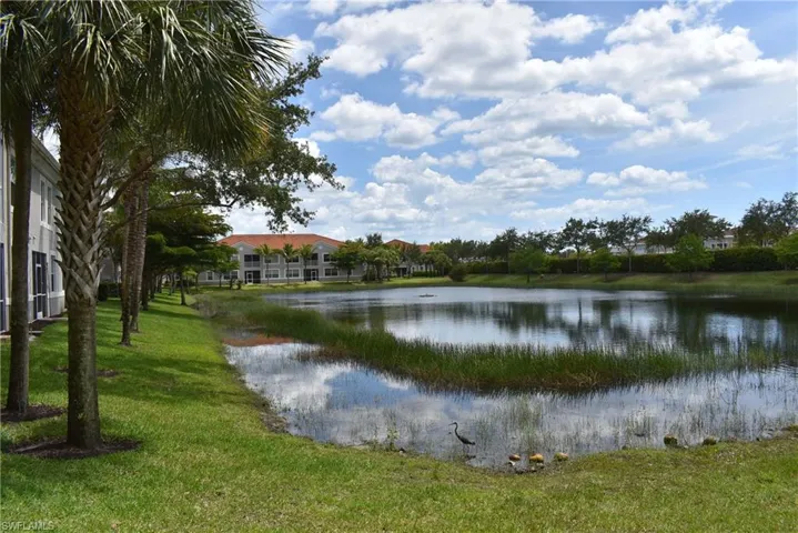 Water view