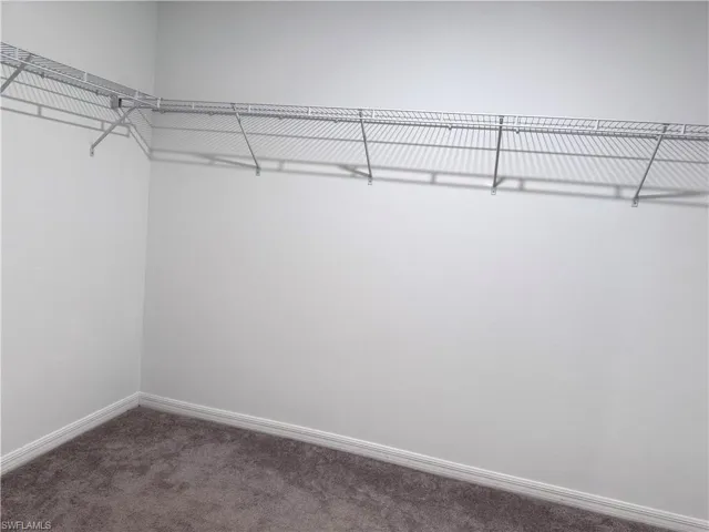 Walk in closet featuring carpet