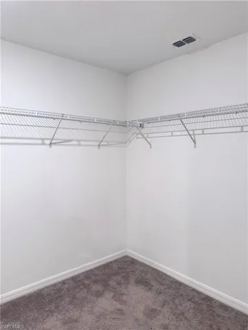 Spacious closet with carpet floors