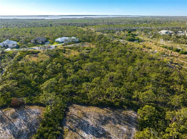 Aerial view of property's location featuring a forest