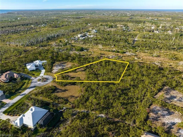 Aerial view of property's location with property parcel outlined and a forest