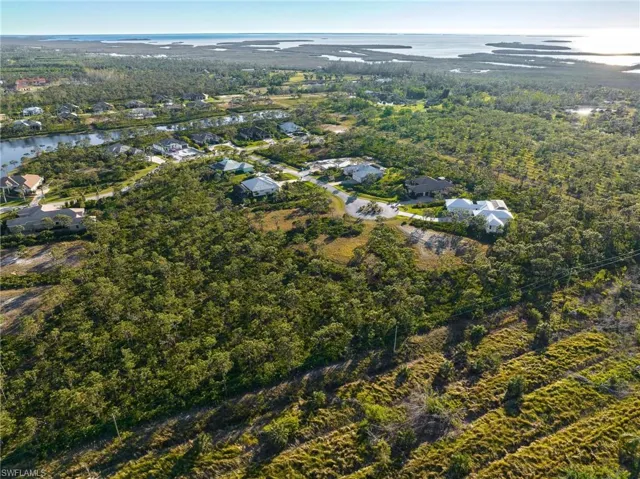 Aerial view of property and surrounding area with a large body of water and a forest