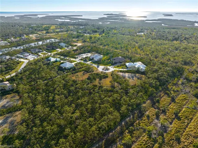 Aerial overview of property's location with a large body of water and a heavily wooded area