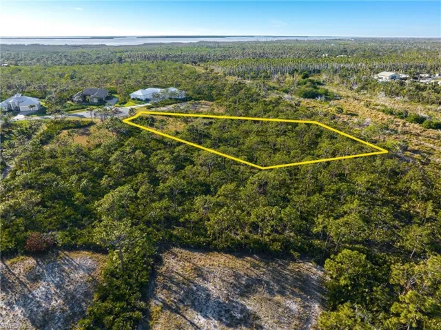 Aerial overview of property's location with a heavily wooded area and property parcel outlined