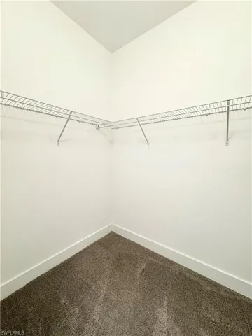Walk in closet with carpet floors