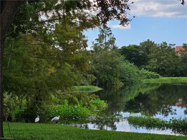 9055  Colby  DR, Fort Myers, FL 33919