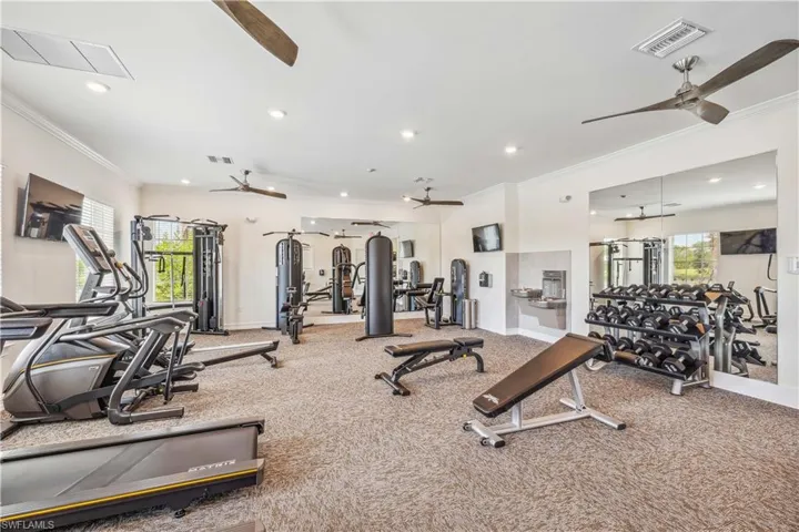 Gym featuring carpet floors, crown molding, ceiling fan, and a healthy amount of sunlight